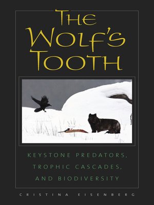 cover image of The Wolf's Tooth